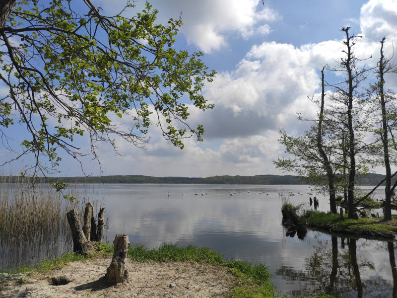 Der zweitgrößte See auf der Insel Usedom: Schmollensee.