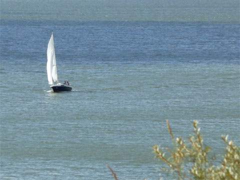 Segeln auf dem Achterwasser, Usedoms beliebtestes Wassersportgebiet: Ein Segelboot in der Nähe des Seebads Zempin.