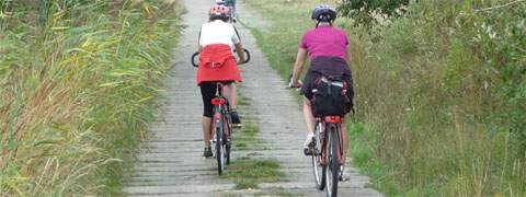 Überall auf Usedom begegnet man Radfahrern: Radwegenetz um Mellenthin und Neppermin