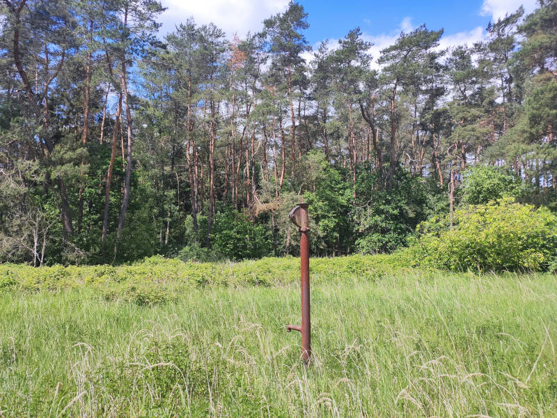 Schwengelpumpe im Wald: Reste früherer Besiedlung.